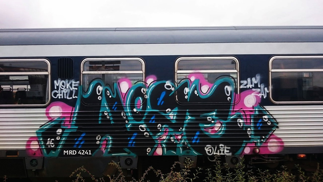 Graffiti Train in Denmark - Photo by Haos1 (2016)