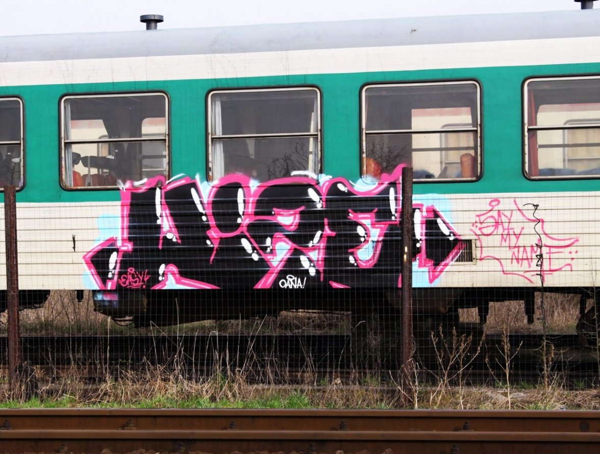 Graffiti Train in Timi?oara - Photo by Haos1 (2015)