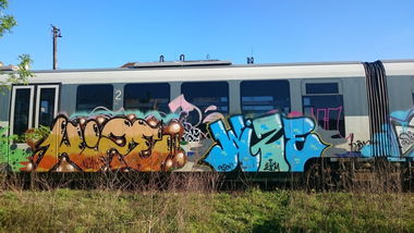 Graffiti Train - Photo by Haos1 - wize (2015)