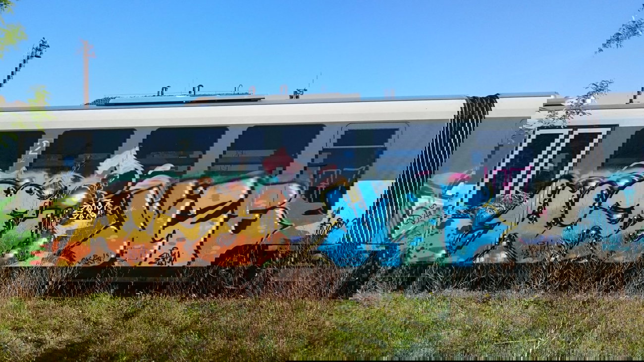 Graffiti Train - Photo by Haos1 - wize (2015)