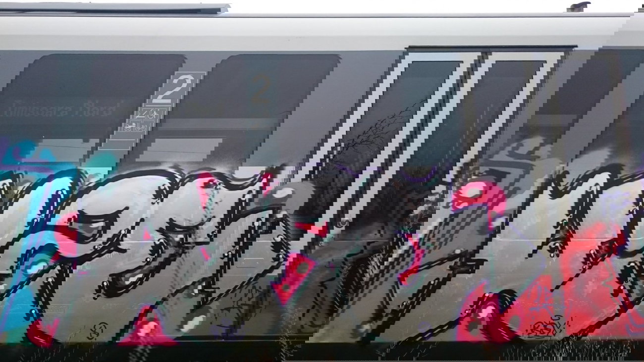 Graffiti Train in Timi?oara - Photo by Haos1 - wize (2015)