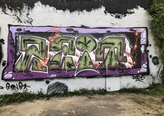 Photo #239258 by TheWallHunter