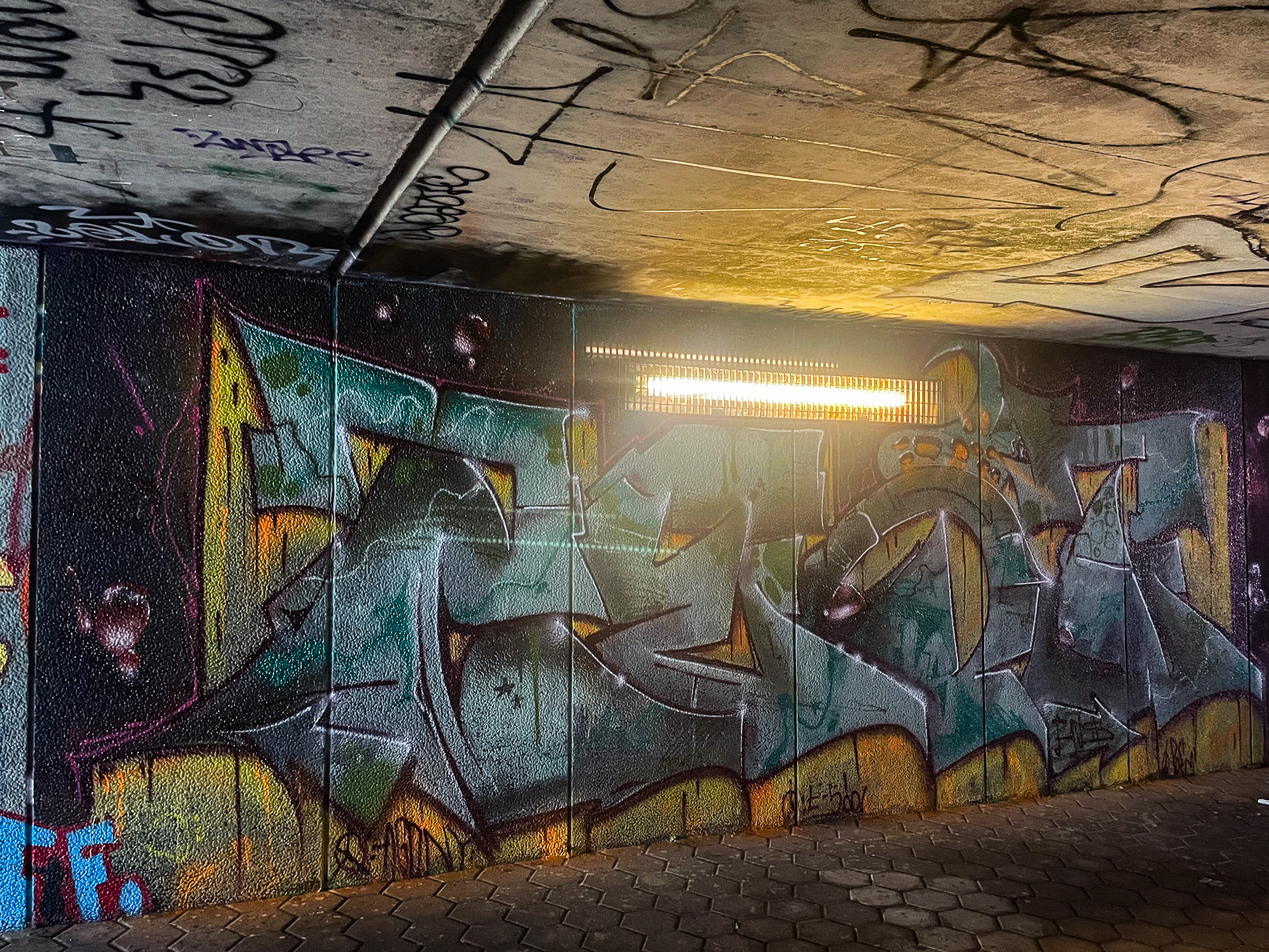 Photo #251466 by iobe1