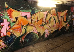 Photo #251467 by iobe1