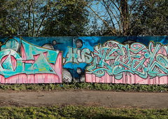 Photo #251468 by iobe1