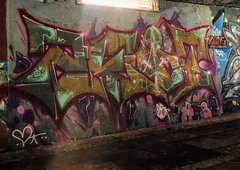 Photo #251469 by iobe1