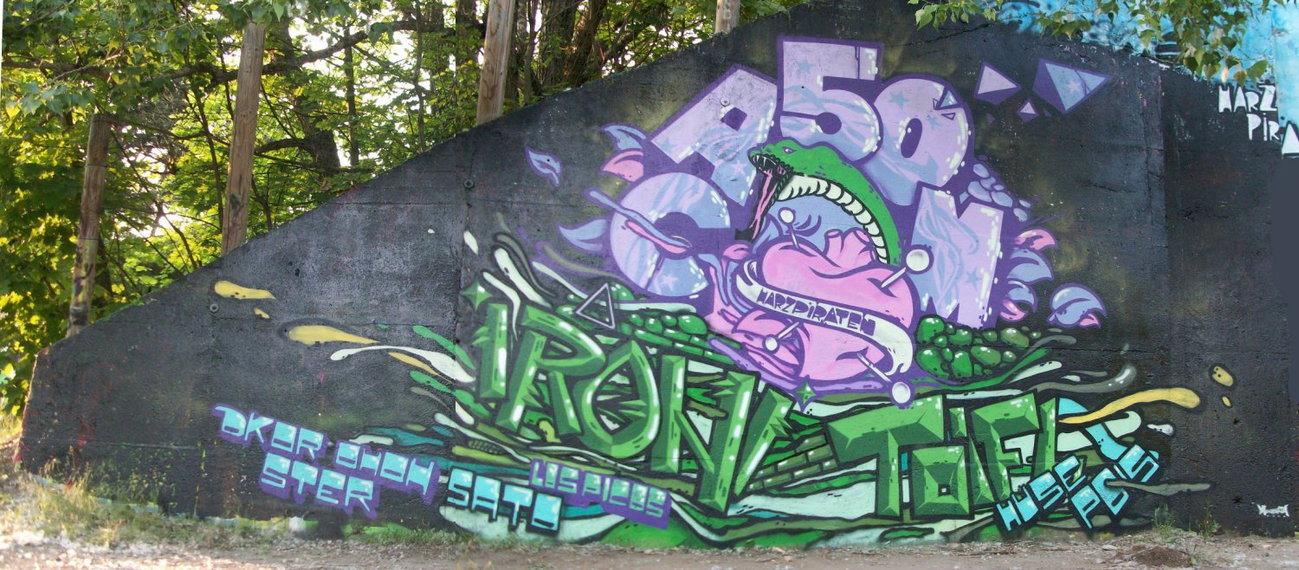 Graffiti Wall in Quedlinburg - Photo by HarzPiraten - Ironi, Toifl, Heis (2013)