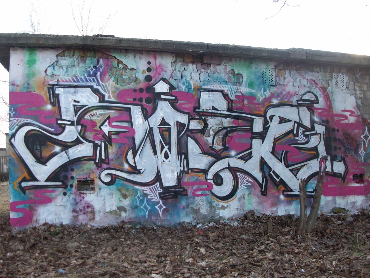 Graffiti Wall in Quedlinburg - Photo by HarzPiraten - Rose, Heis (2011)