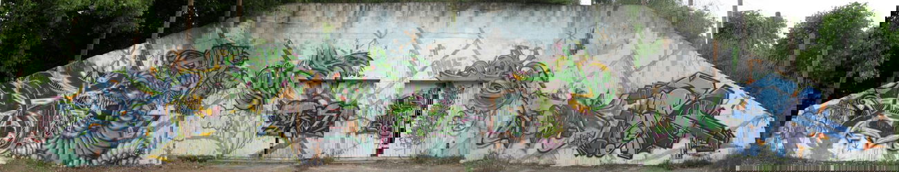 Graffiti Wall in Quedlinburg - Photo by HarzPiraten - Pirat, Eimu, Shy (2009)