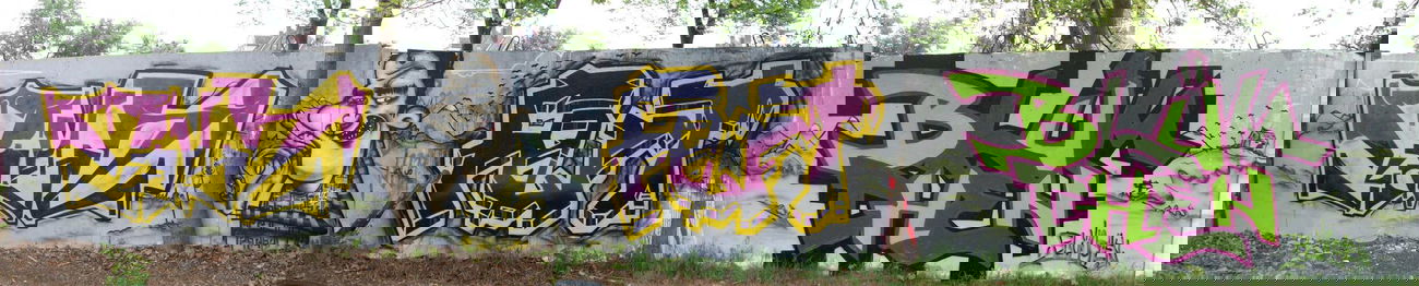 Graffiti Wall in Quedlinburg - Photo by HarzPiraten - Mist, Huse, Heis (2011)