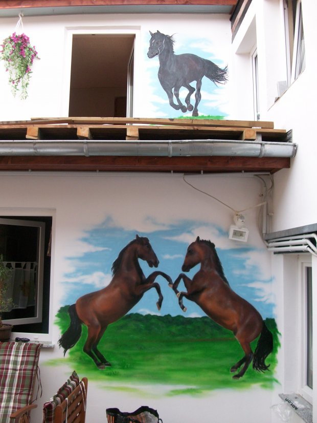 Graffiti Wall in Quedlinburg - Photo by HarzPiraten - Heis (2013)