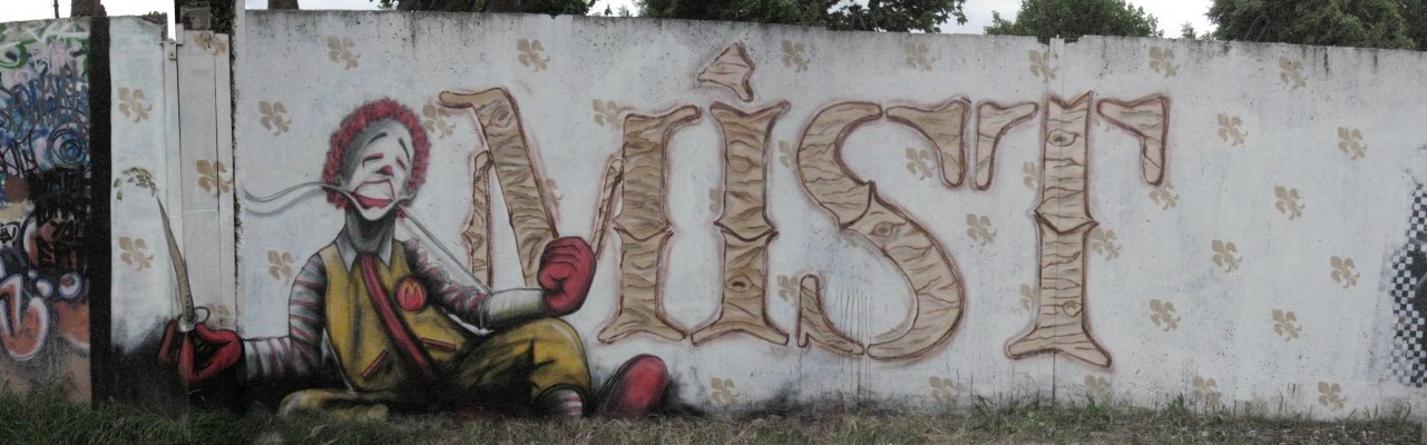 Graffiti Wall in Quedlinburg - Photo by HarzPiraten - Mist, Huse, Heis (2009)