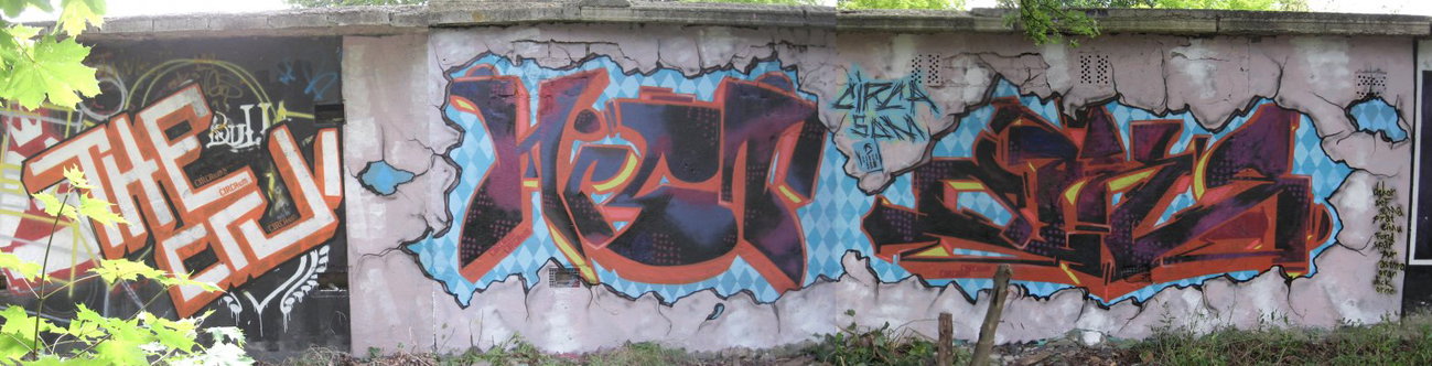 Graffiti Wall - Photo by HarzPiraten - TheCru, Mist, Huse (2009)