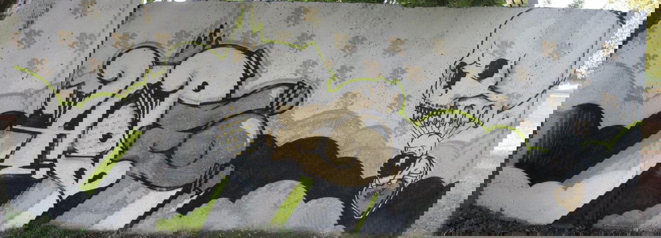 Graffiti Wall in Quedlinburg - Photo by HarzPiraten - Hope, Heis (2008)