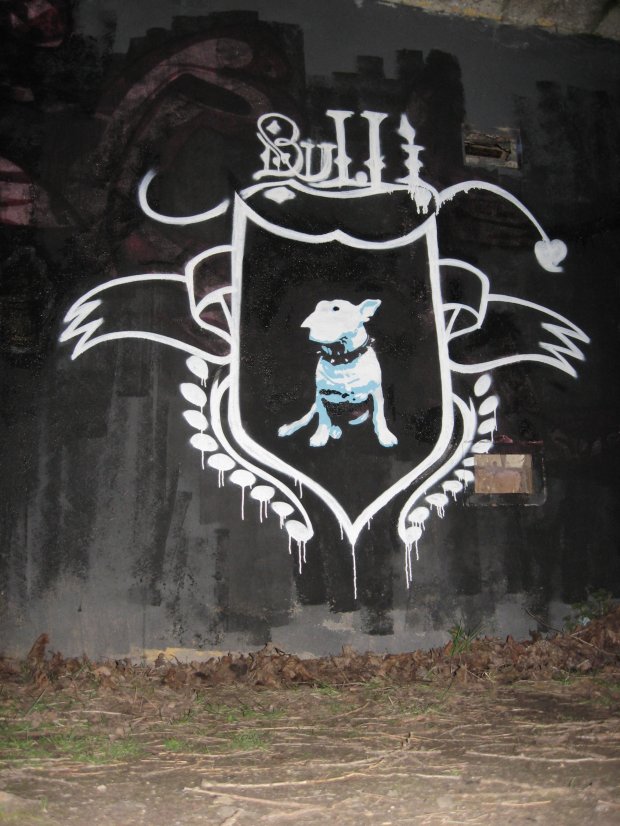 Graffiti Wall in Quedlinburg - Photo by HarzPiraten - Heis (2009)