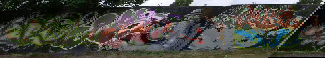 Graffiti Wall in Quedlinburg - Photo by HarzPiraten - Acer, Spar, Eimu (2010)