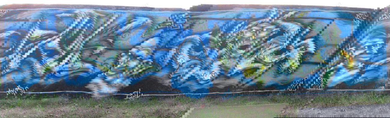 Graffiti Wall in Quedlinburg - Photo by HarzPiraten - Pirat, Eimu (2009)