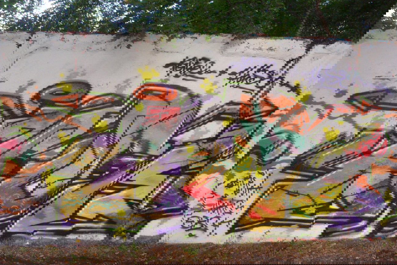 Graffiti Wall - Photo by HarzPiraten - Huse (2014)