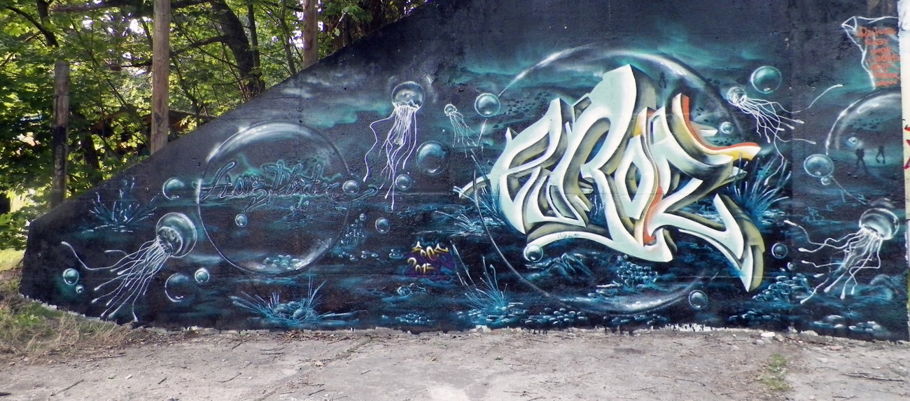 Graffiti Wall - Photo by HarzPiraten - Eroz, Harzpiraten, EMF (2015)