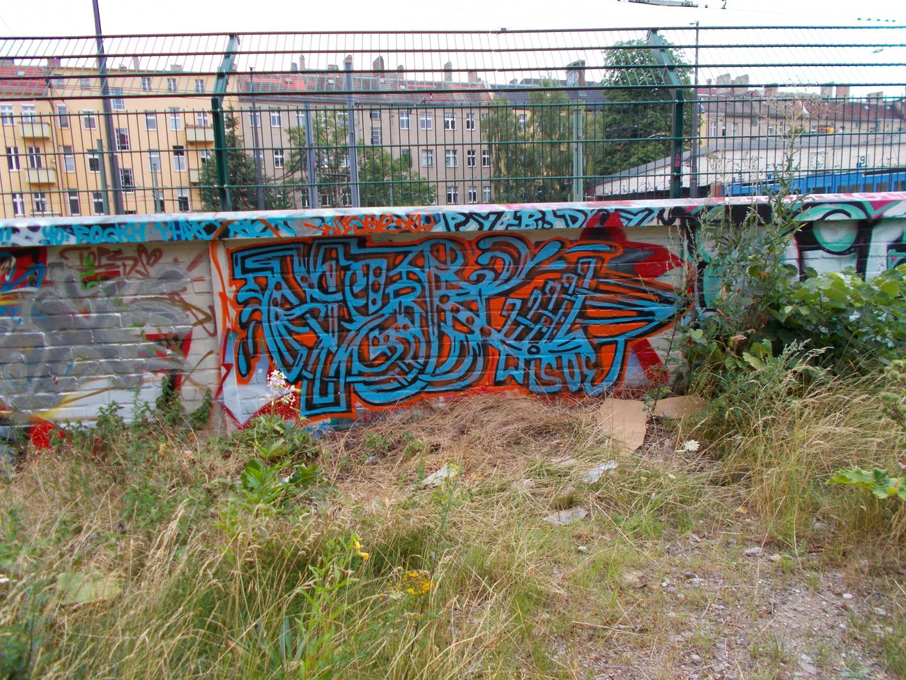 Graffiti Train in Berlin - Photo by Hauswart1120 - VLR, WISOE, WISO (2015)