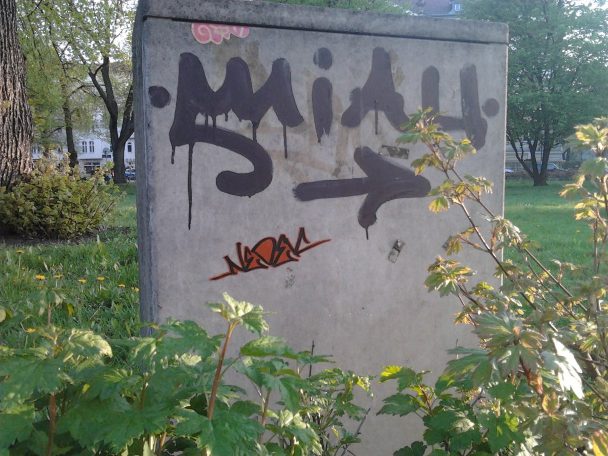 Graffiti Street Art - Photo by Hauswart1120 - MIAU, NEDEK