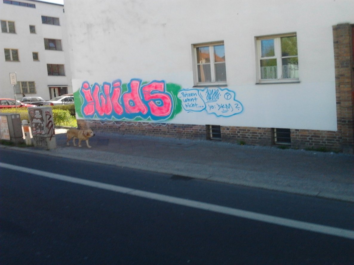 Graffiti Wall - Photo by Hauswart1120 - IWIDS (2015)