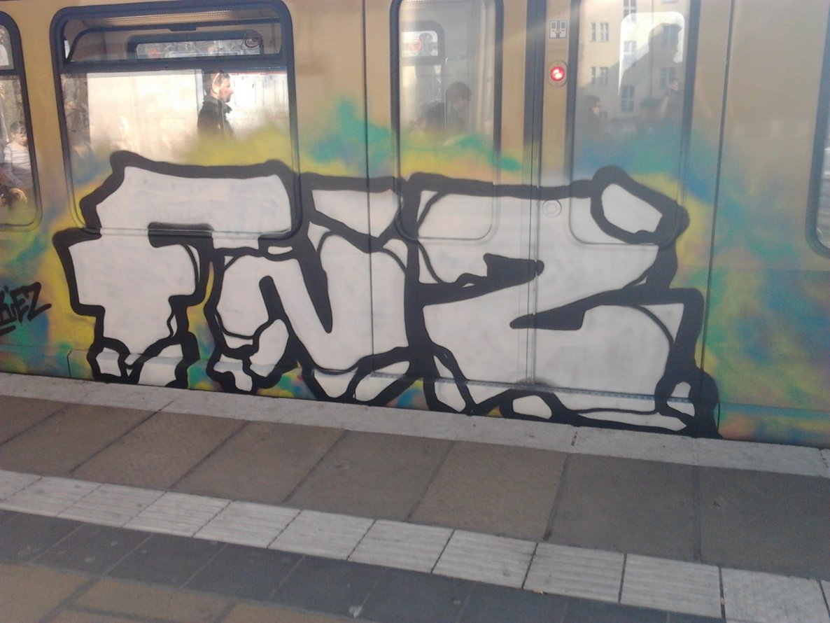 Graffiti Train - Photo by Hauswart1120 - FNZ (2015)