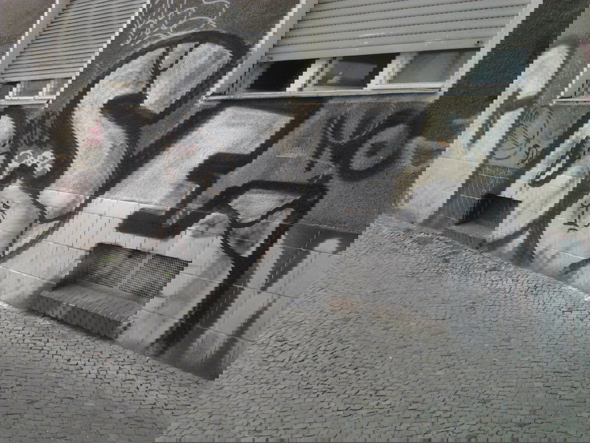 Graffiti Bombing - Photo by Hauswart1120 - DSE (2015)