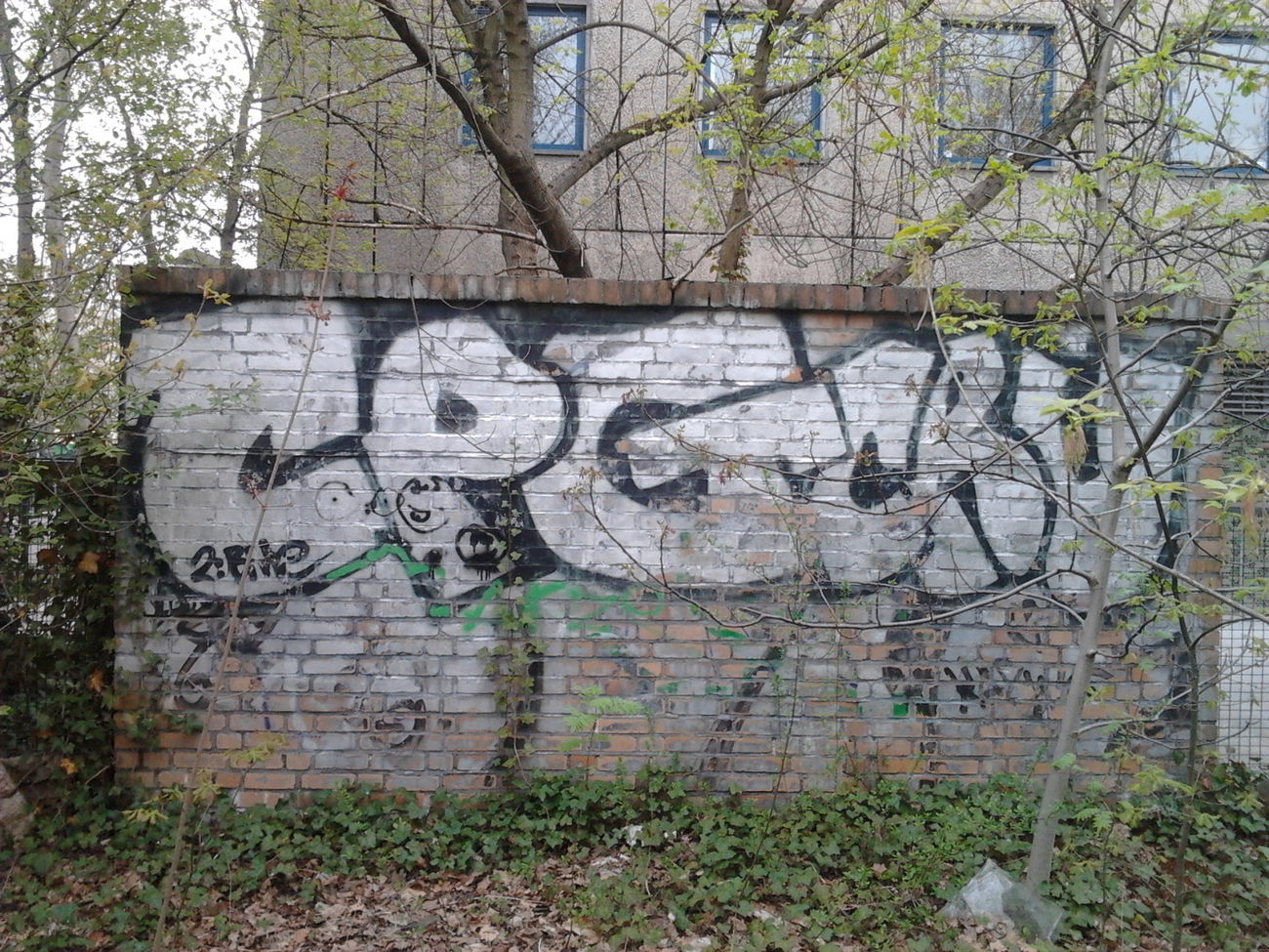 Graffiti Bombing in Berlin - Photo by Hauswart1120 - CPG