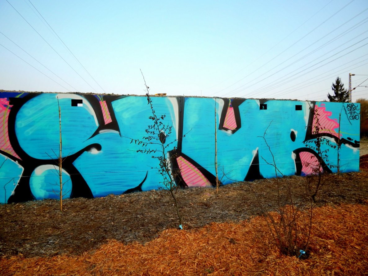 Graffiti Wall - Photo by HavanaClub - spur, asr, mainz