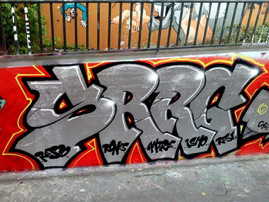 Graffiti Wall - Photo by HavanaClub - Srrg, Sorry, Guys (2014)