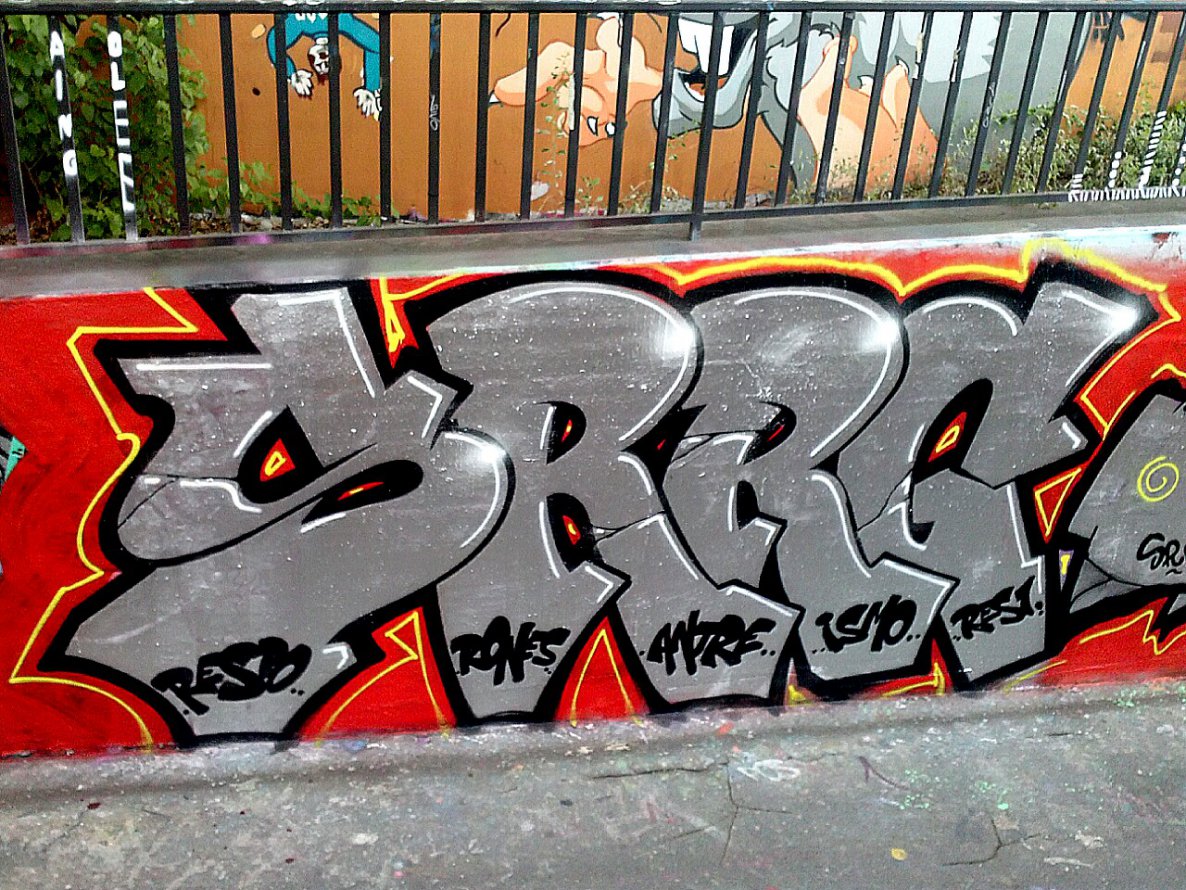 Graffiti Wall - Photo by HavanaClub - Srrg, Sorry, Guys (2014)