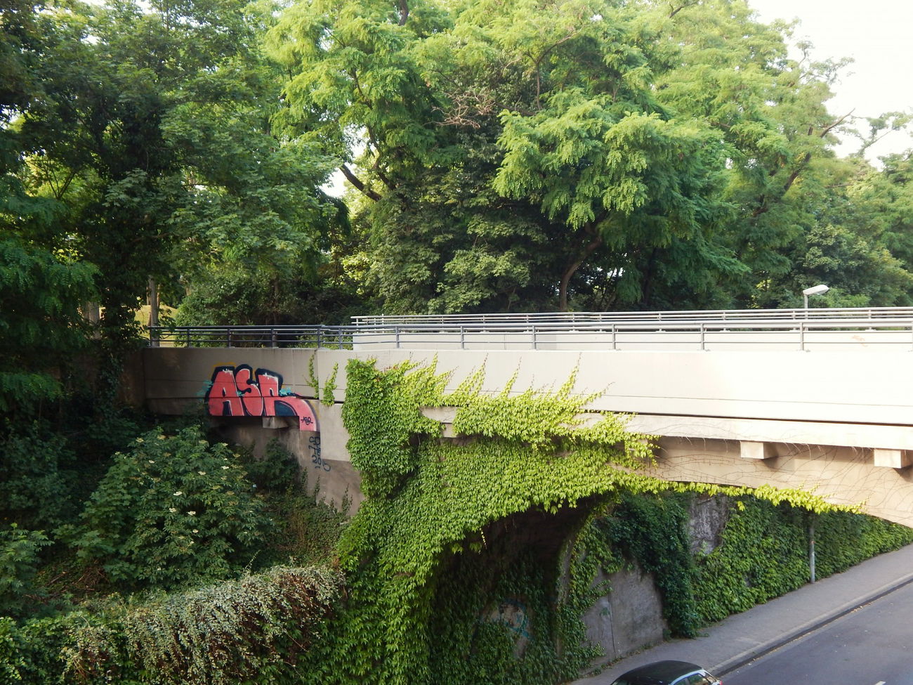 Graffiti Wall - Photo by HavanaClub - Asr, teik, spur