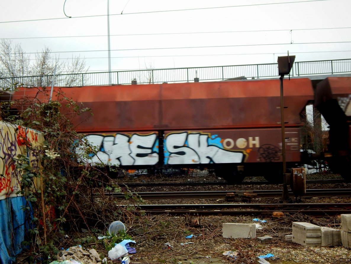 Graffiti Train - Photo by HavanaClub - chesk, freight, mainz