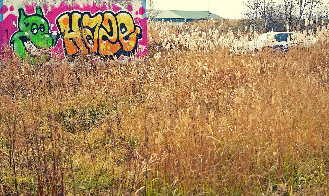 Graffiti Bombing - Photo by HazeOne - Pse571, Haze (2013)