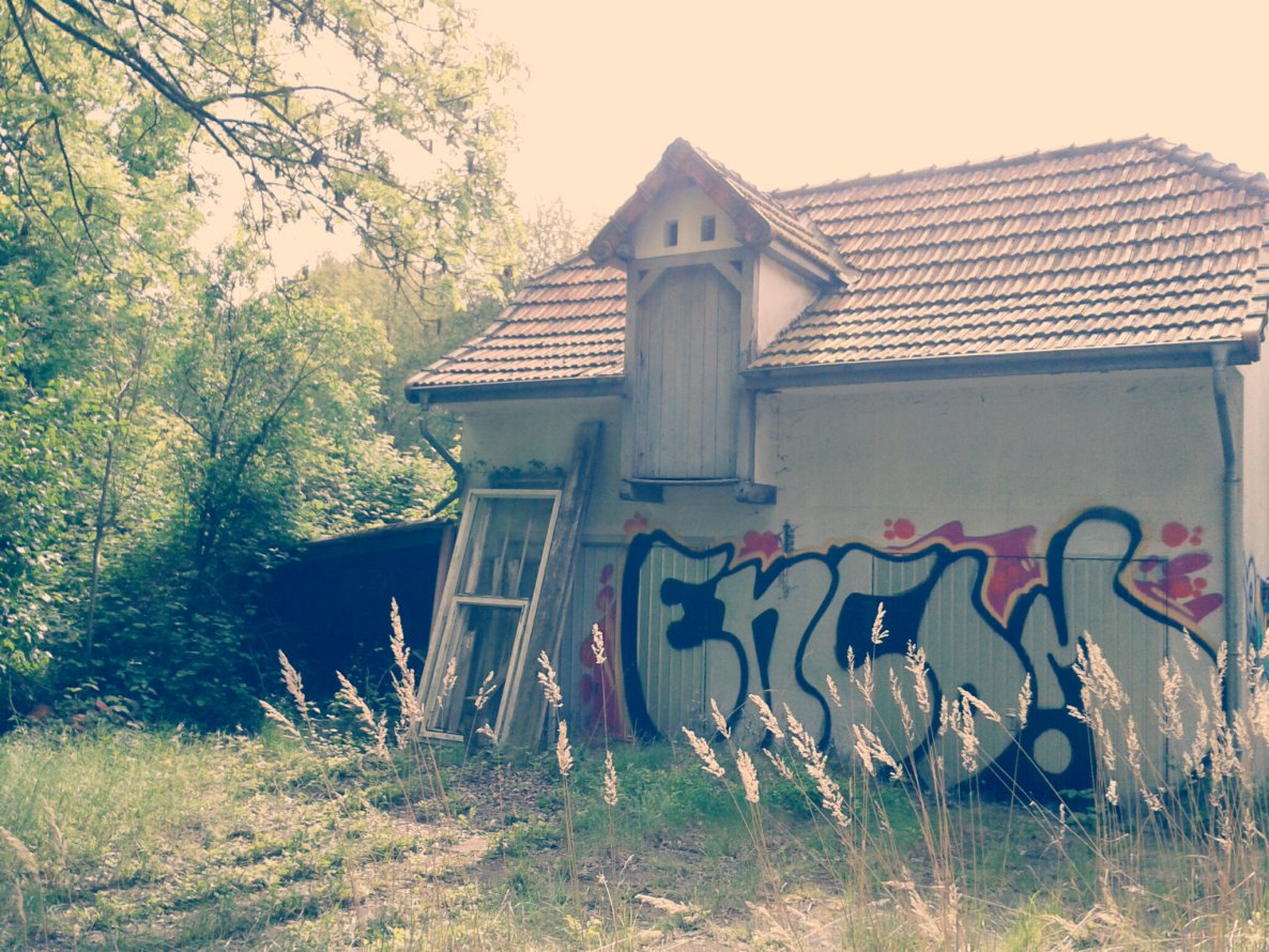 Graffiti Wall - Photo by Heisenberg - encom, tfd