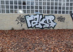 Photo #134684 by nearcrimekid