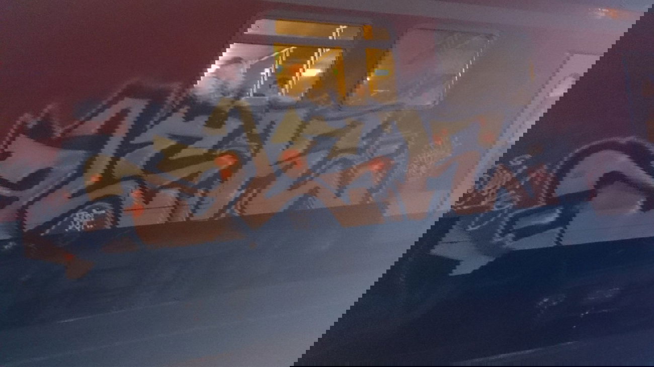 Graffiti Train - Photo by Held - Olek, DB, Lutherstadt