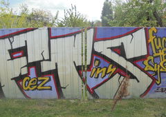 Photo #176487 by Lokalpatriot