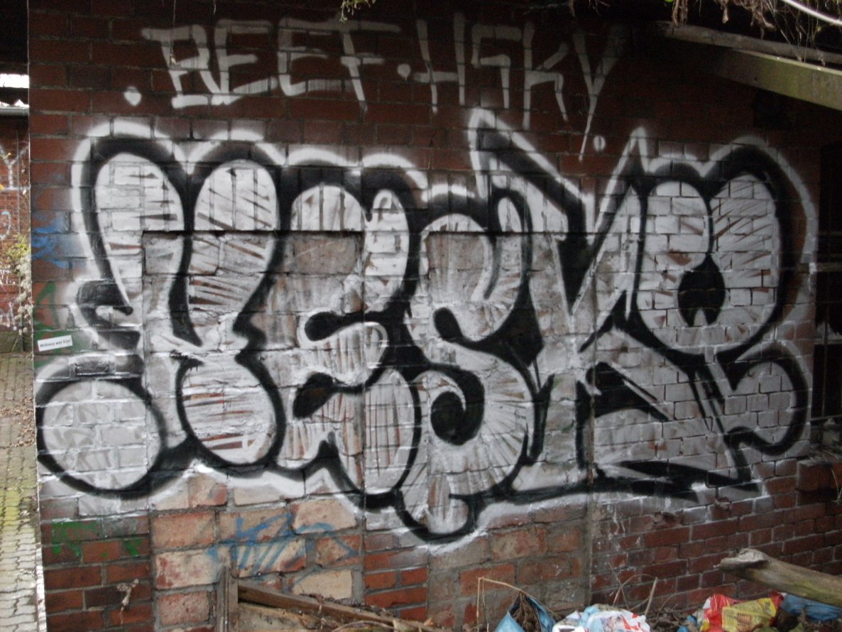 Graffiti Bombing - Photo by Hesky