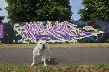 Graffiti Wall - Photo by Hesky