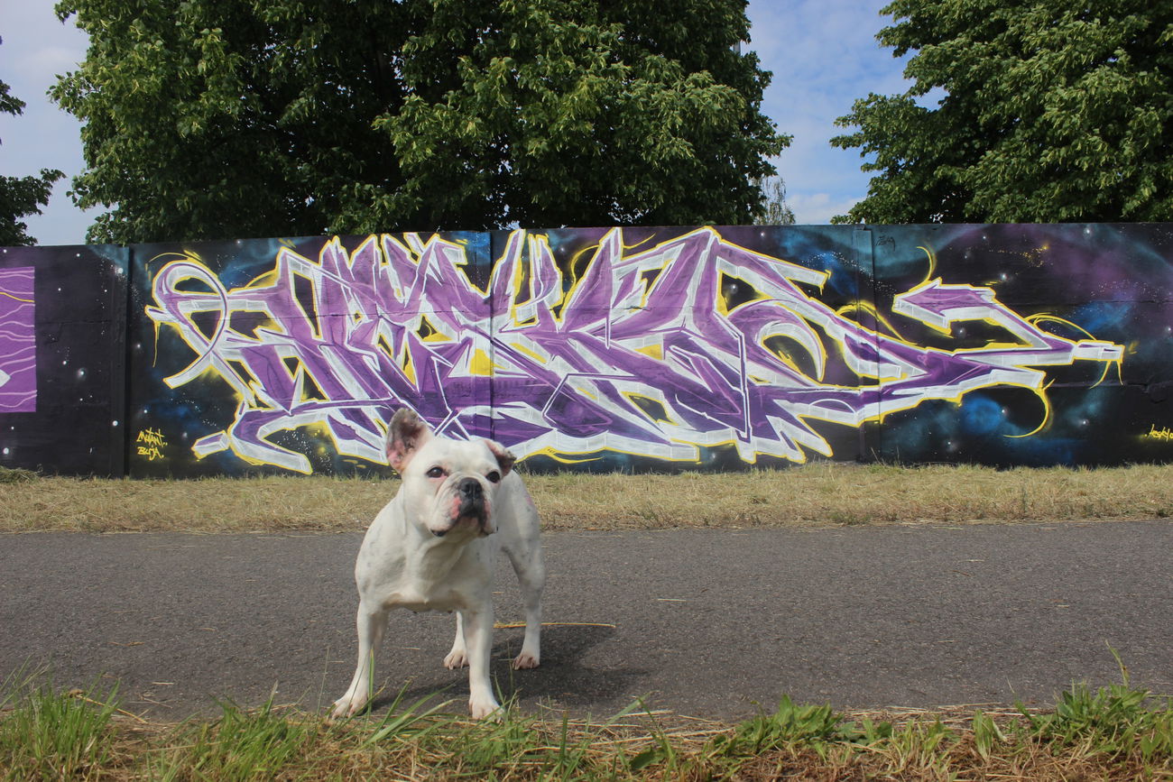 Graffiti Wall - Photo by Hesky