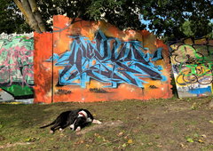 Graffiti Wall - Photo by Hesky