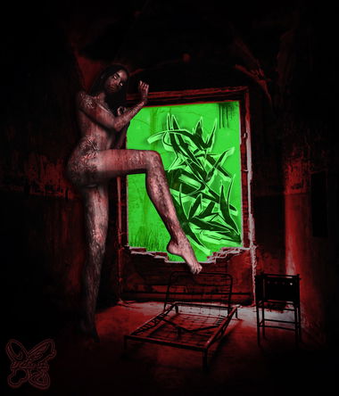 Graffiti Wall - Photo by Hesky