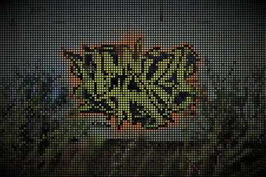 Graffiti Wall - Photo by Hesky