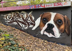 Graffiti Wall - Photo by Hesky