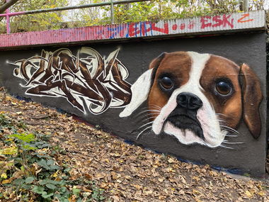 Graffiti Wall - Photo by Hesky