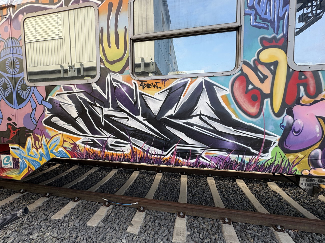 Graffiti Train - Photo by Hesky