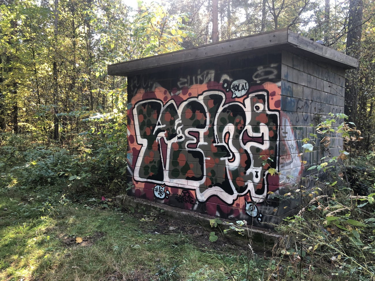 Graffiti Wall in Раменское - Photo by Hetor (2020)