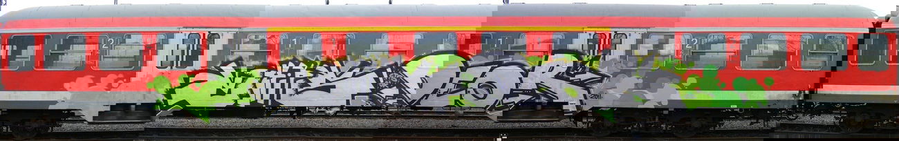 Graffiti Train - Photo by Heureka - Chips, Deor, fts (2011)
